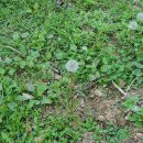 마쵸델리 | 씨앗처럼 살자