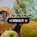 사계절청과 이미지