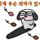 미수라 이미지