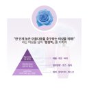 메트리 이미지