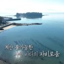 비토하우스펜션 이미지