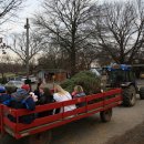 크리스마스 트리 농장, 필라델피아에서 (4) 이미지