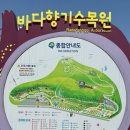 바다향기수목원(도서식물원) 이미지