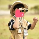 학교형태 | 부산 을숙도생태공원에서 만난 특별한 영어숲학교, 윙윙 주니어 레인저 후기