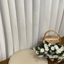 우리집 강아지 | 성북구애견미용 찾다가 정착한 곳, 바스인더썬 솔직 후기