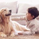 자명축사 이미지