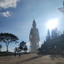 탐진농장 이미지