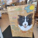 따뜻하고 포근한 일러스트 | 석촌호수맛집 유기농 잠실베이글 맛집 추천 크림베이글 잠실점