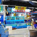 동마수산 네이버블로그