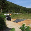 관호농장 이미지