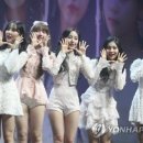 GOGO(고고)투어 이미지