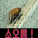 미셀킴스킨케어