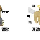 코테 이미지