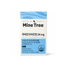 마인텍스 쇼핑하우