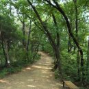(긴급공지) 8월1일(목) 이말산~은평 한옥마을~진관사숲길~북한산 입구 이미지