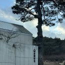 봄 맞이 힐링 라탄 | 청도 : 경북 대구 근교 가성비 풀빌라 '온화한가' 온정 객실 내돈내산 후기