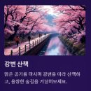 동강리버버깅협동조합 이미지
