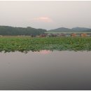 동방낚시터 이미지