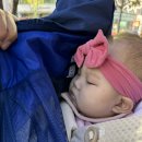 FC25편의점 이미지