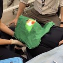 일정치과기공소 이미지