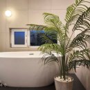 달물인연 이미지