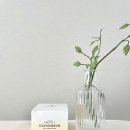 더제이메디칼 이미지