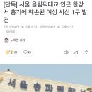[단독] 서울 올림픽대교 인근 한강서 흉기에 훼손된 여성 시신 1구 발견 이미지