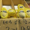 이레청과 이미지