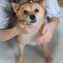 GS25 좌동펄시티점 | 나 부산이랑 잘맞을지도