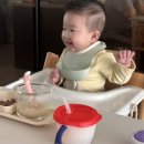 큐브스틱 | 슈베가든 이유식 스틱형 토핑 큐브 내돈내산 후기