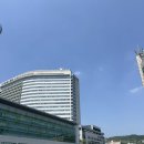 세브란스약국 | 세브란스치과병원 상악동 천공, 상악동 누공폐쇄술 후기