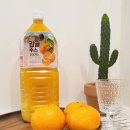 더밸런스코리아 | #코스트코추천템 [바이오포트코리아] 밸런스그로우 🍊제주 감귤 주스 100% 🐬제주의 추억을 홈카페에서...