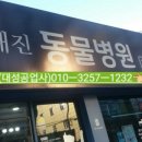 조재진동물병원 이미지