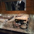 가야고등학교 이미지