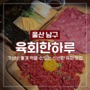 3POP(울산대) | [울산 무거동 맛집] 육회한하루 가성비 좋은 울산대 술집