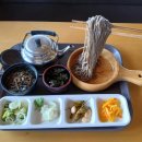 산마루칼국수 | 봄 대구 힐링명소 팔공산 케이블카 벚꽃 나들이 후기 피톤치드 가득한 산책