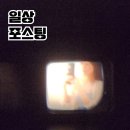 행복한 것만 모은 기억조작 일상 포스팅