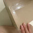 (주)백양명품크리닝 | 명품가방 수선 구찌 캔버스 미니 숄더백 투엘다움 동대문점에서 소생시켰어요!!