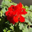 송정자연휴양림 이미지