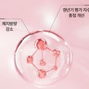 플로라데이 이미지