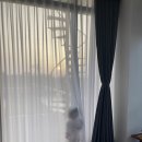 까사비용 이미지