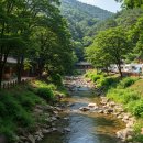 백운산장민박 | 2025 백운계곡 주변 후기 추천 좋은 숙소 TOP5 추천 | 가성비, 평점