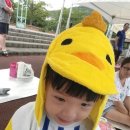 와동체육공원 이미지