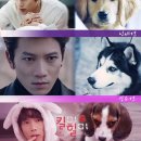 요섭농장 이미지