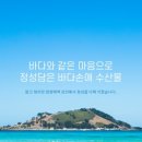바다손애