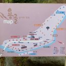 용골송어와캠핑 이미지