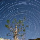 월평농장 이미지