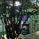 추억의꽈배기 이미지