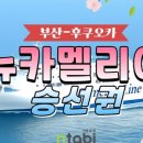 뉴글로벌여행사
