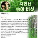 백두산 . 북한산 [ 자연산 송이버섯 ] 1등급 460원/1키로...... 이미지